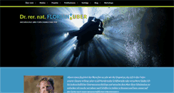 Desktop Screenshot of florian-huber.info